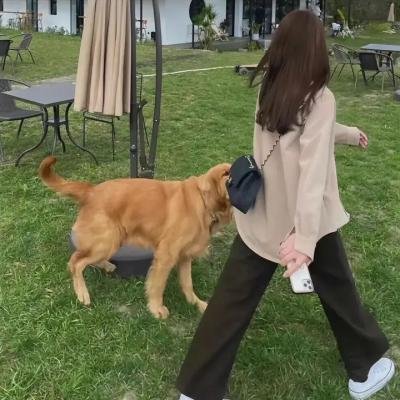 初试羽翼