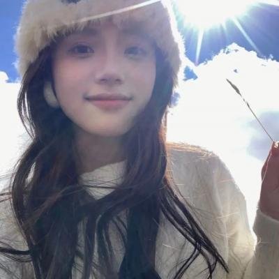一个叫欧维的男人决定去死